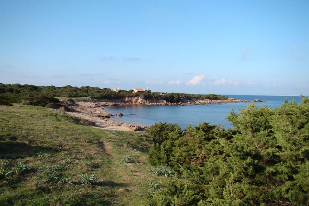 Bella Casa Con Giardino A 10 Minuti Dal Mare Apartment อาเญ็นตู ภายนอก รูปภาพ
